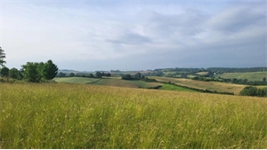 terrain à la vente -   32130  SAMATAN, surface 3000 m2 vente terrain - UBI477902597